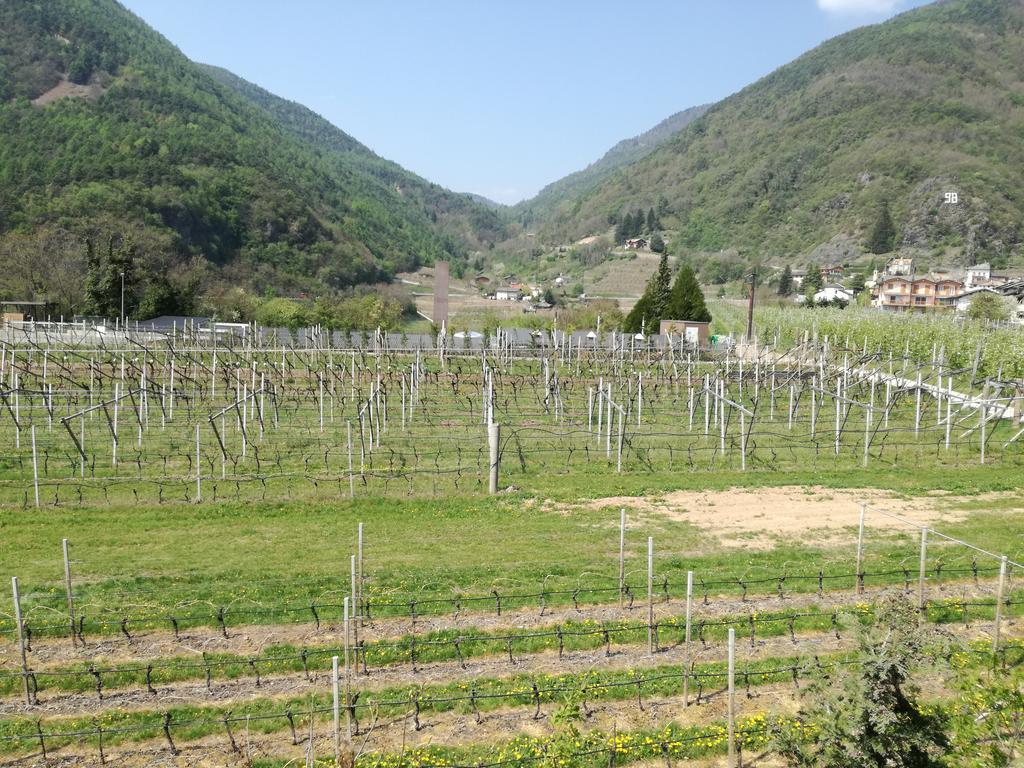 Agriturismo Le Cavade Cembra Lisignago Exterior photo